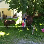 Daszimmermann Fruehstueckspension *