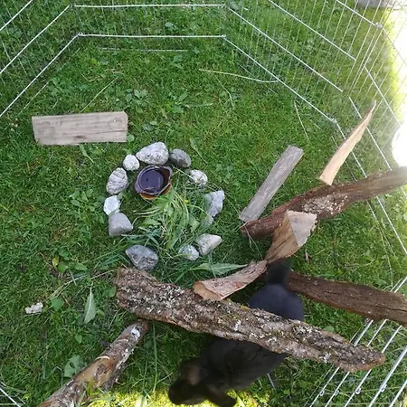 Daszimmermann Fruehstueckspension *