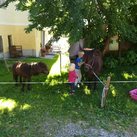 Daszimmermann Fruehstueckspension *