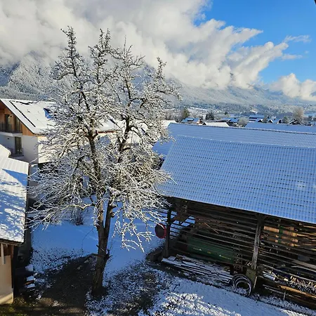 Daszimmermann Fruehstueckspension Konukevi