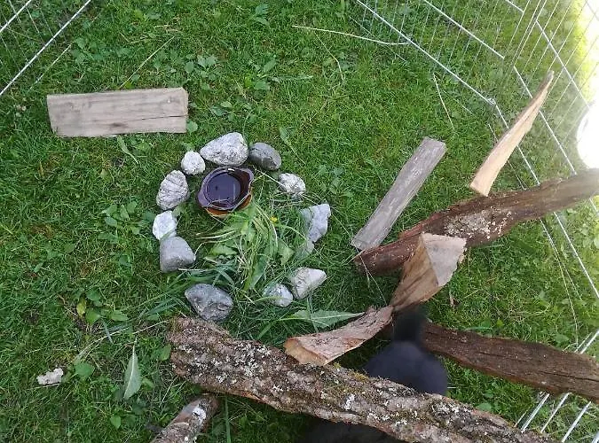 Daszimmermann Fruehstueckspension *