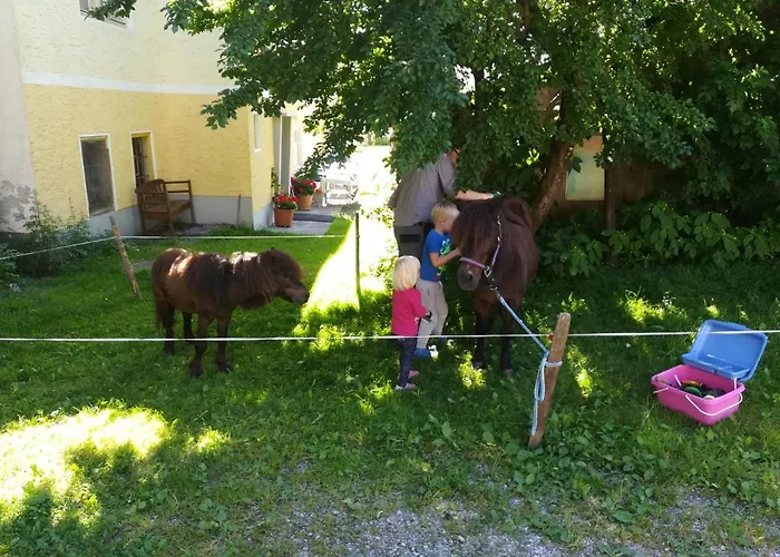 Daszimmermann Fruehstueckspension *