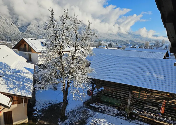Daszimmermann Fruehstueckspension Pensjonat